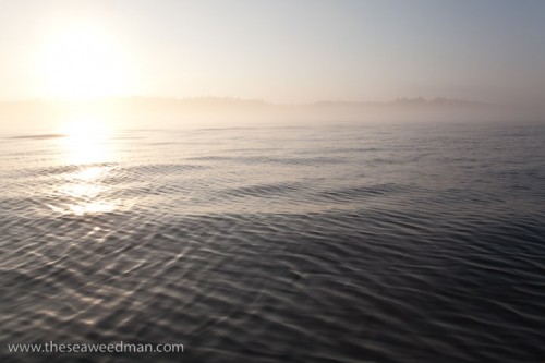 Cross-hatch pattern on water